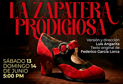 La Zapatera Prodigiosa
